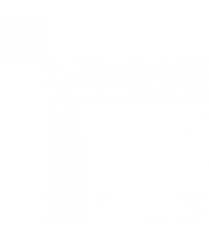 LES PROMESSES DE DIEU